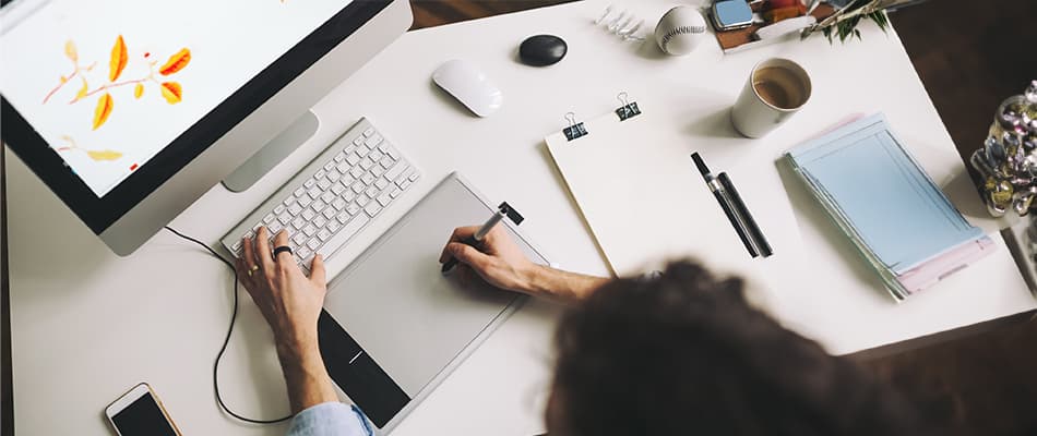What Skills Do I Need To Be A Graphic Designer? Technical & Soft