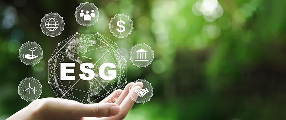 Understanding ESG Criteria: Main Concepts, Importance, and Challenges!