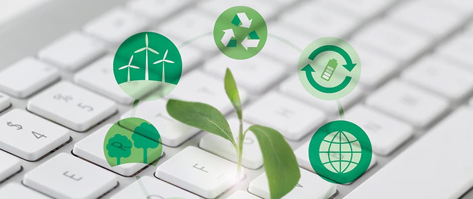 Understanding ESG Strategy: Importance and Implementation