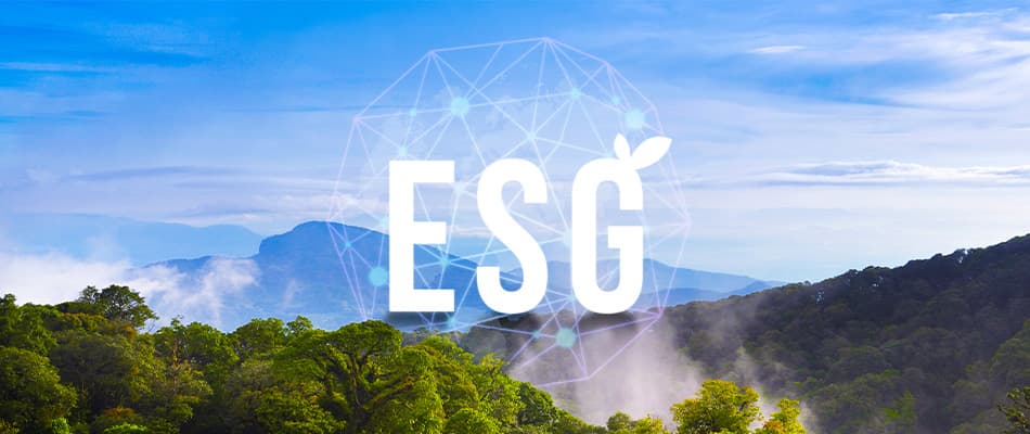 Best ESG Courses Online in South Africa | Learn Everything Here