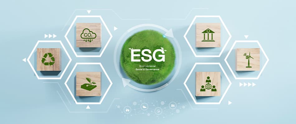 Best Online ESG Courses in Tanzania | Factors to Consider