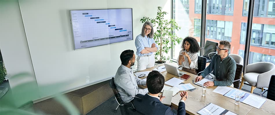 Best Online Project Management Course to Study in Botswana