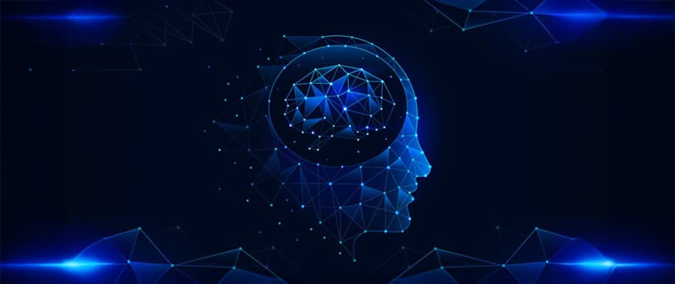 What are Artificial Neural Networks?(ANN)